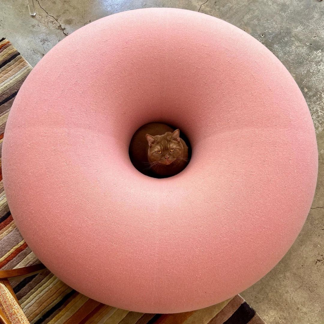 Shared by @ericwareheim