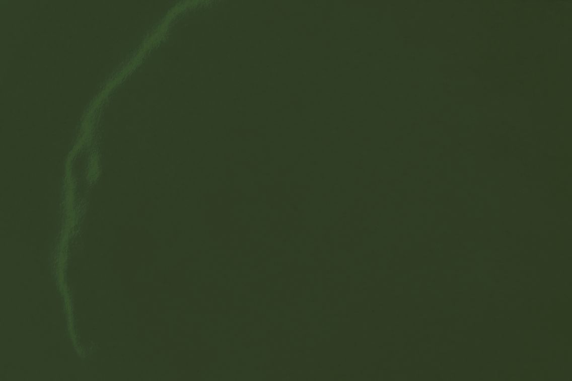 Bronto Plate (Set of 2), Green, Art. no. 30672 (image 5)