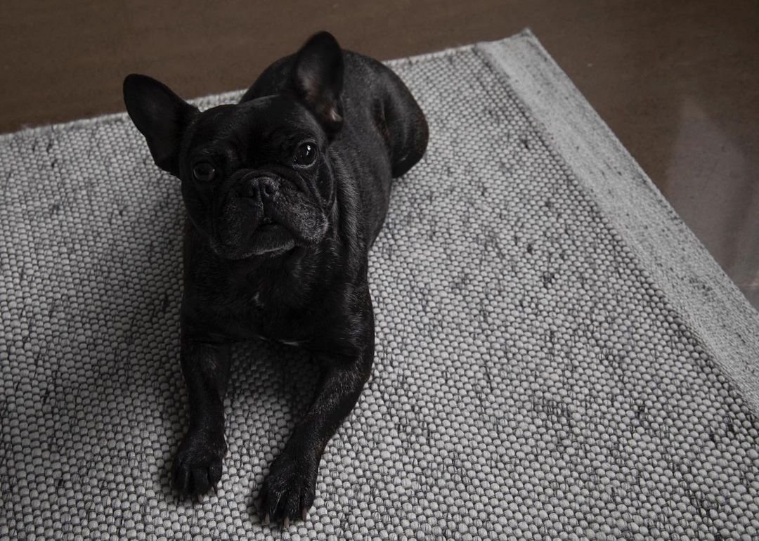 Shared by @ateliersroyer.design