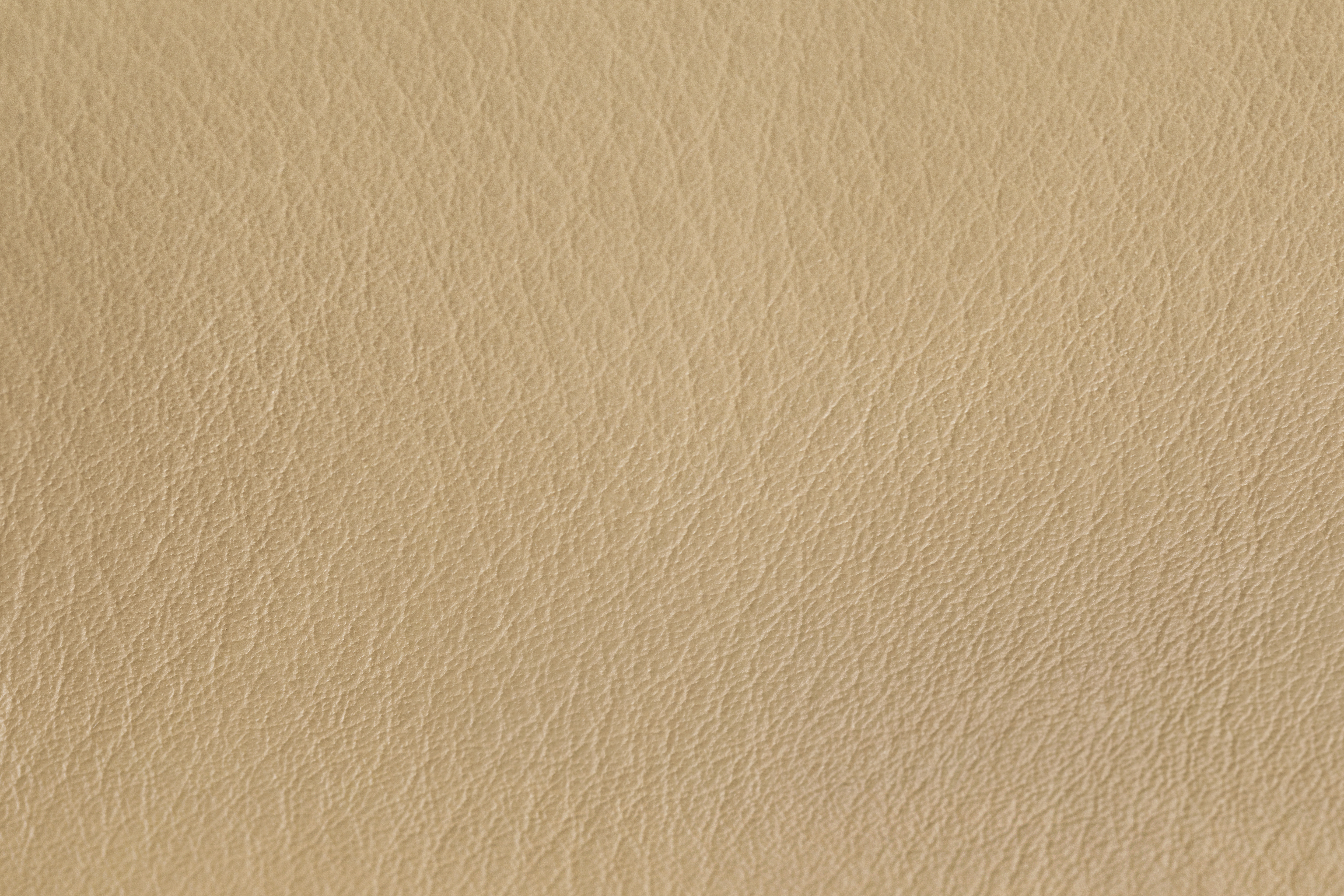 Puffy 2.5-seater Sofa, Sand Leather / Cream, Art. no. 20725 (image 6)