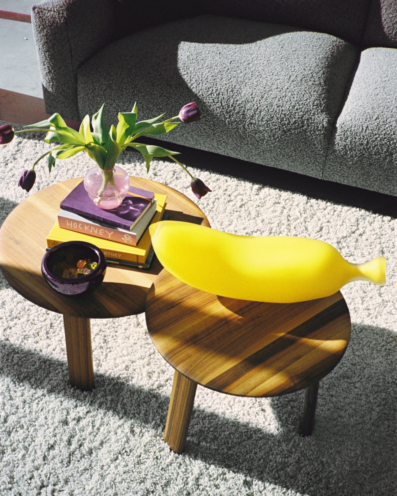 An analog image of a lounge scene featuring Alle Coffee Tables (Set of 2).