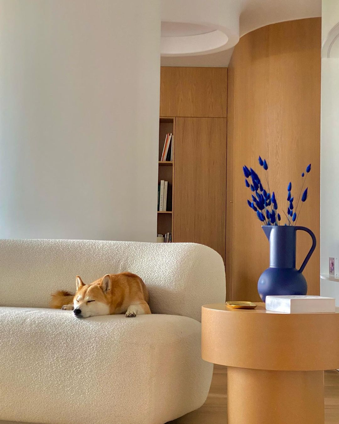 Shared by @toniandhaku