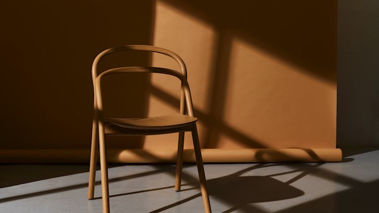 Catching shades: The winter light edit
