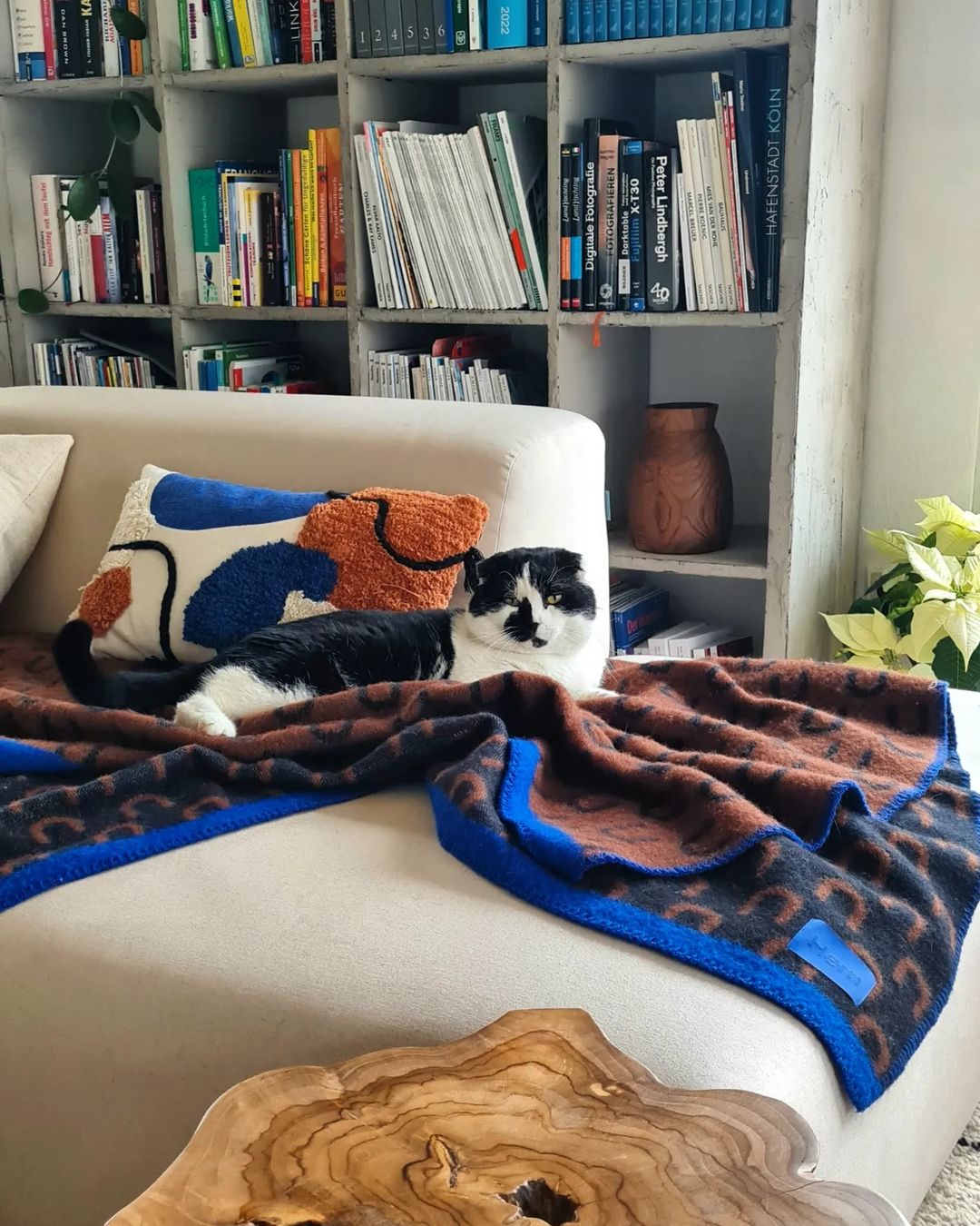 Shared by @agnesczerska