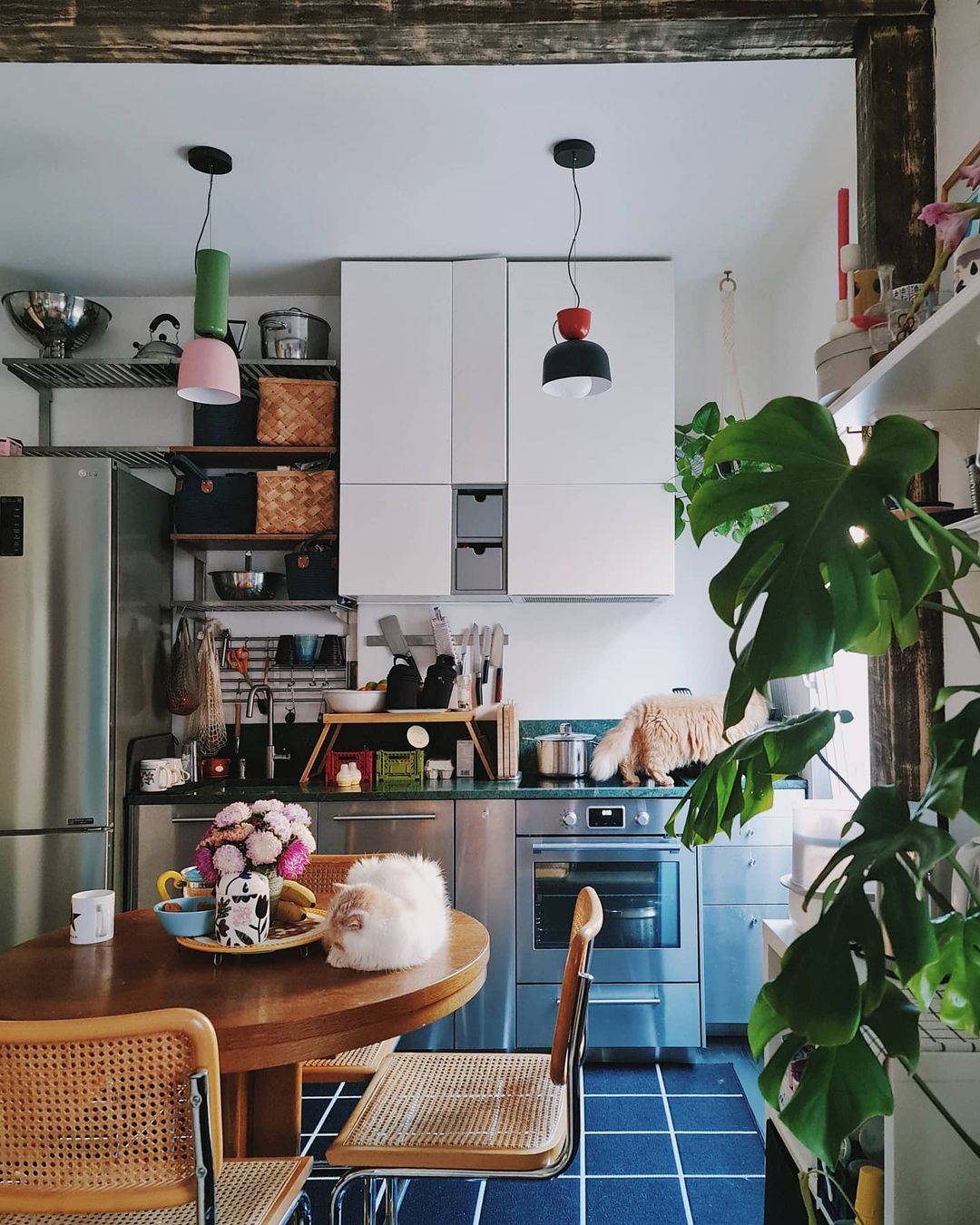 Shared by @helvetikacam