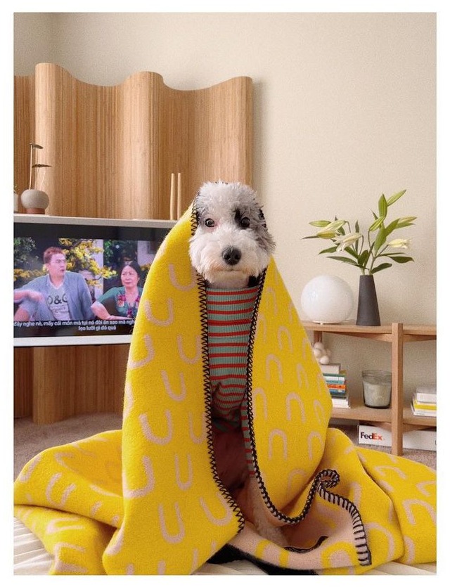 Shared by @heymo_oni