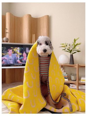 Shared by @heymo_oni