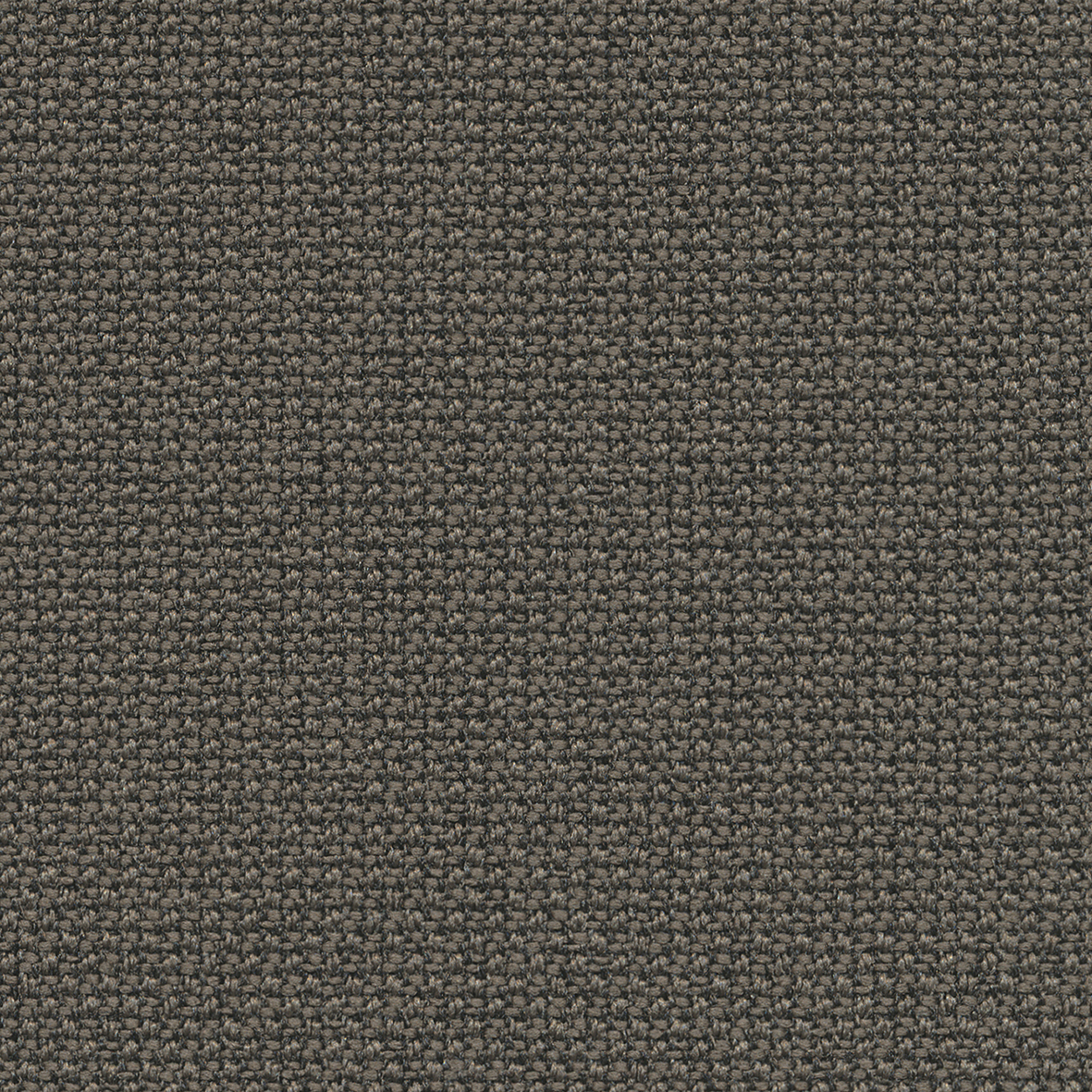 61169