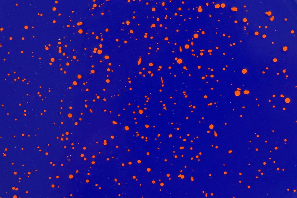 Splatter (Blue & Orange)