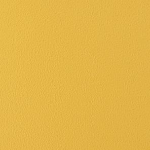 Carbon Steel Ochre Yellow