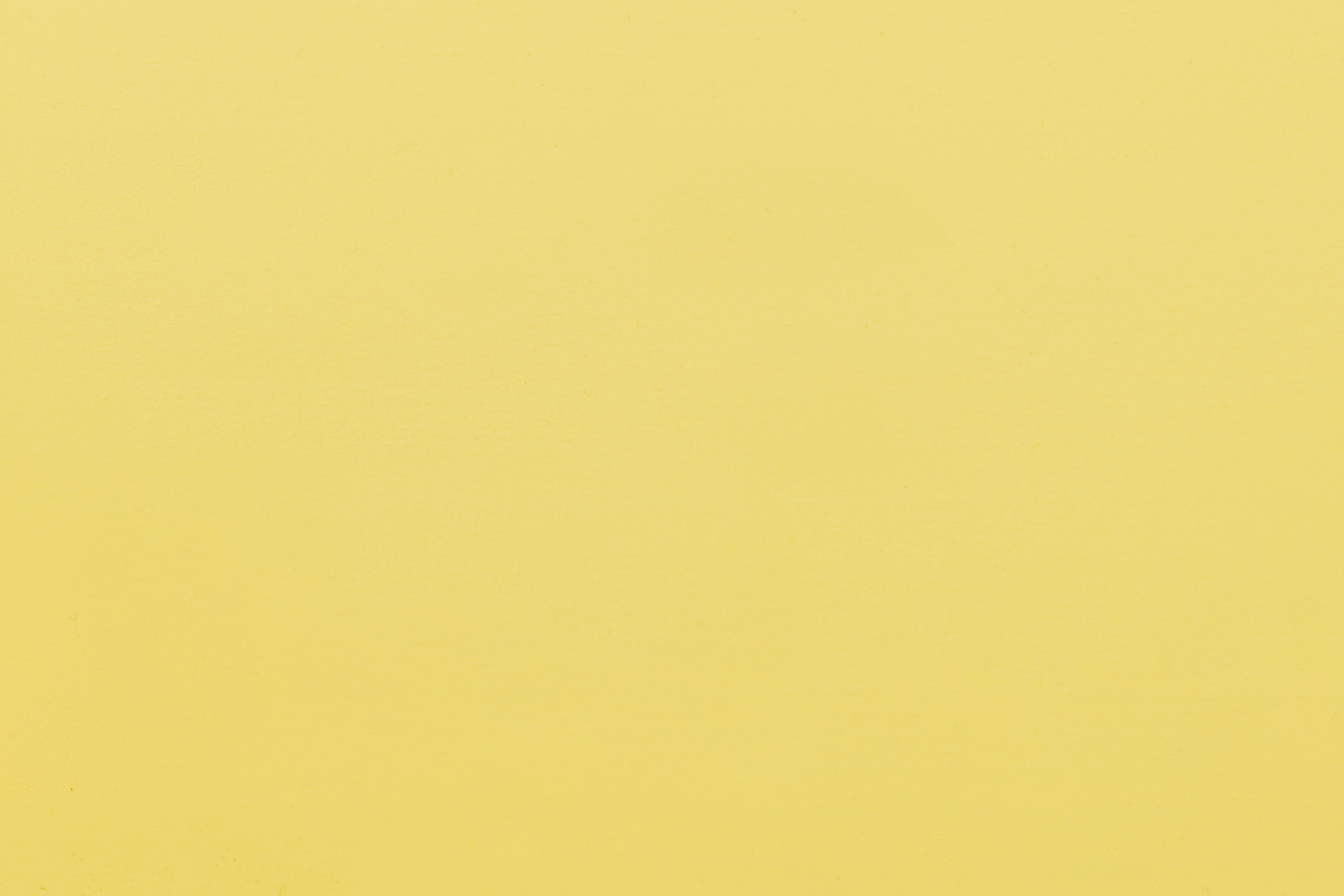 Solid Beech Yellow Stained Beech