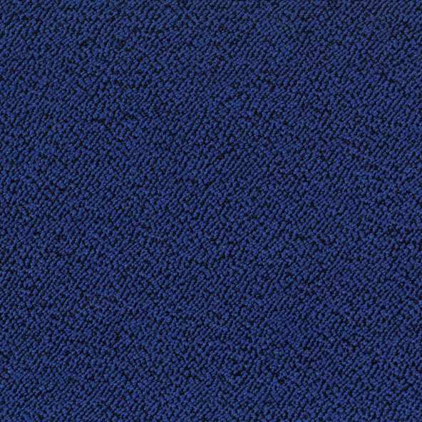 Sera Cobalt