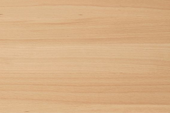 Basic Beech Solid Beech, Material sample — Hem