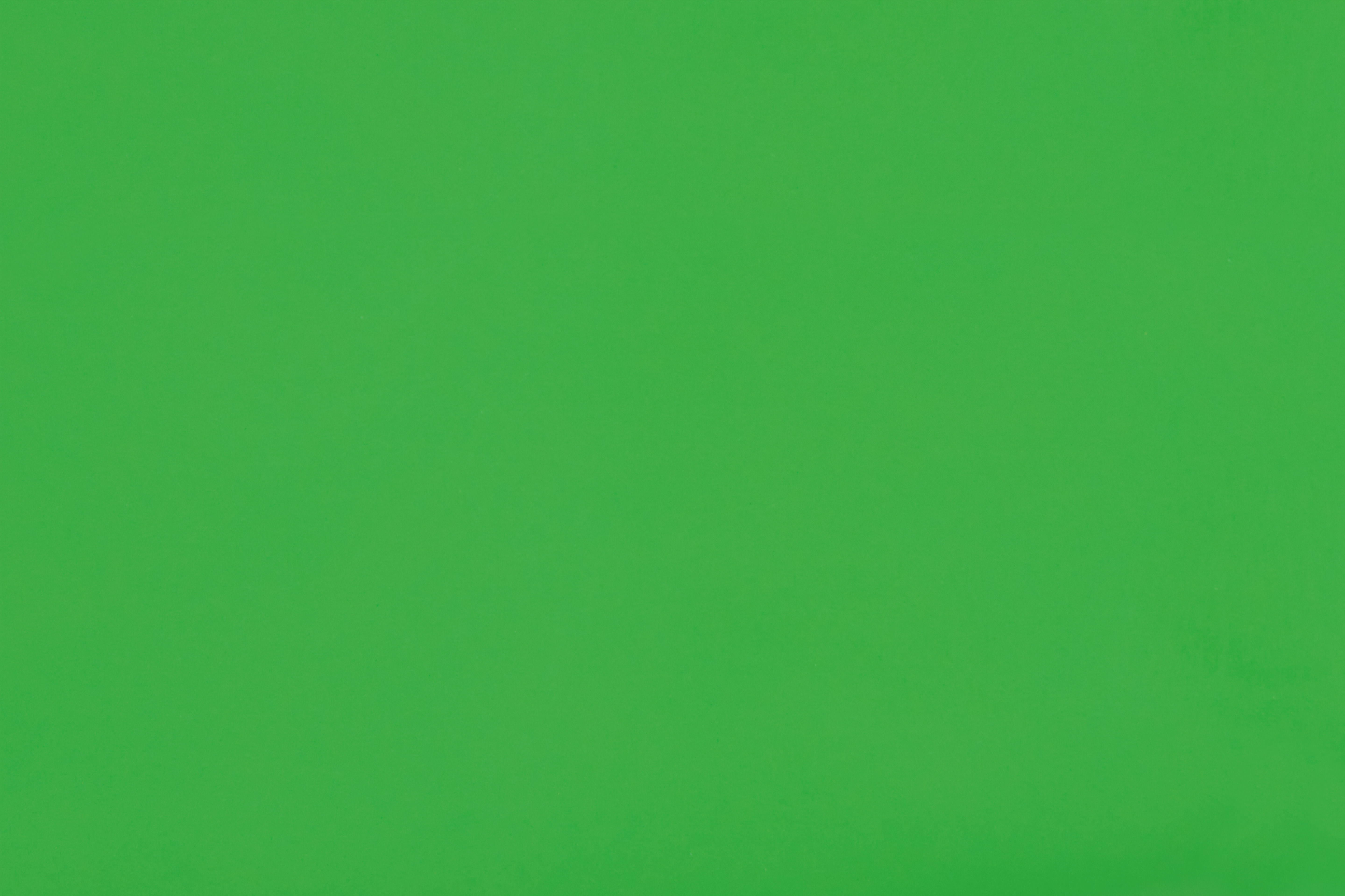 Plywood Green Lacquered Plywood