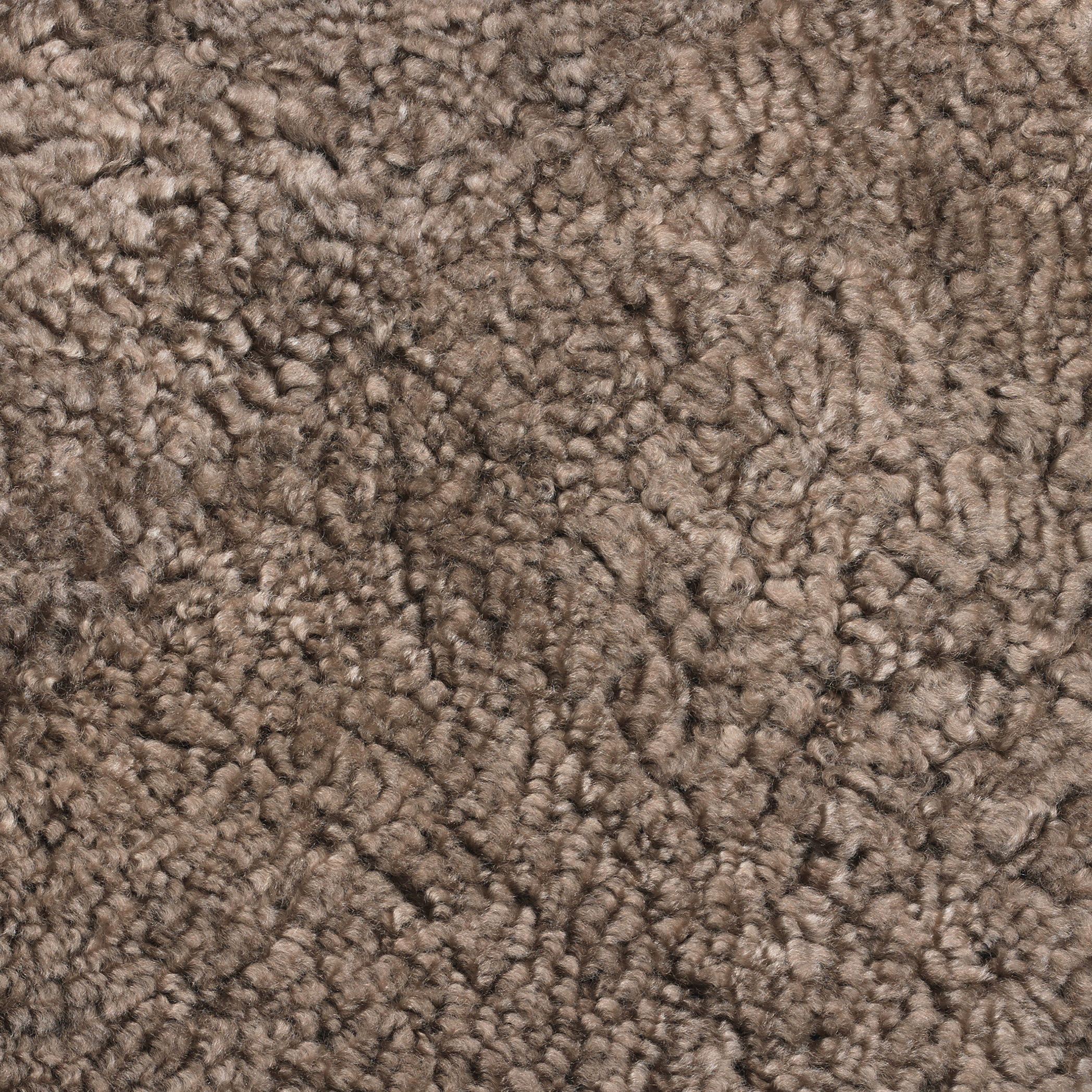07 Sahara
