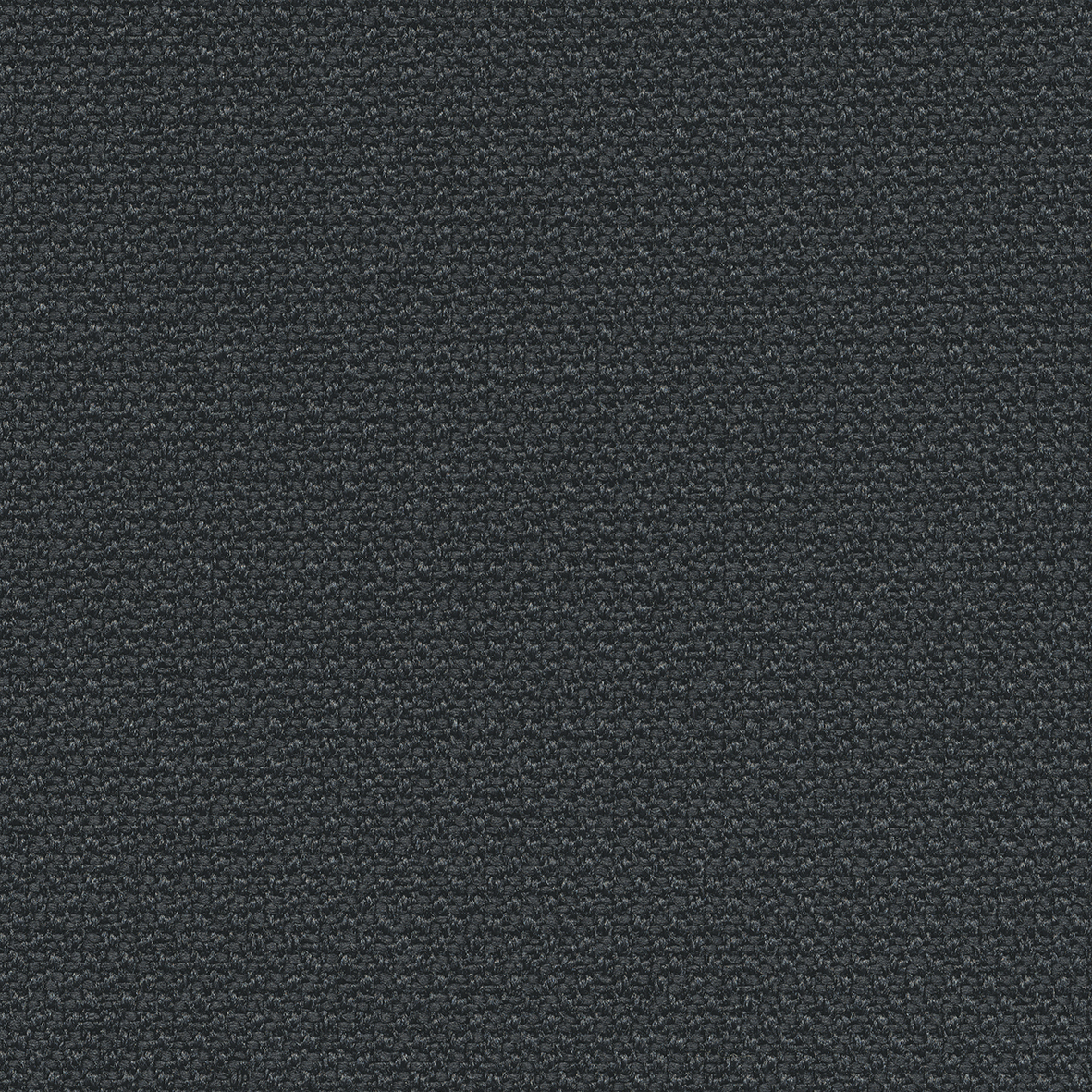 60019