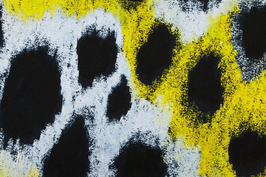 White / Yellow / Black