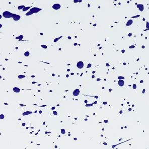 Enameled Steel White / Blue Splatter