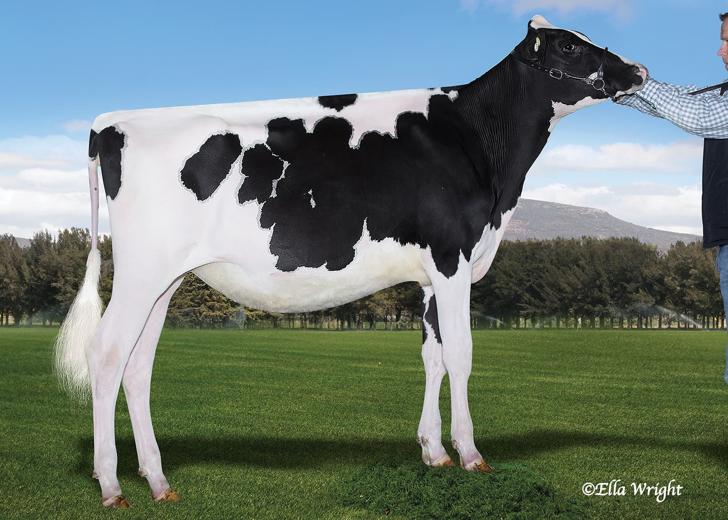 MS CONROY CG STALINGRAD