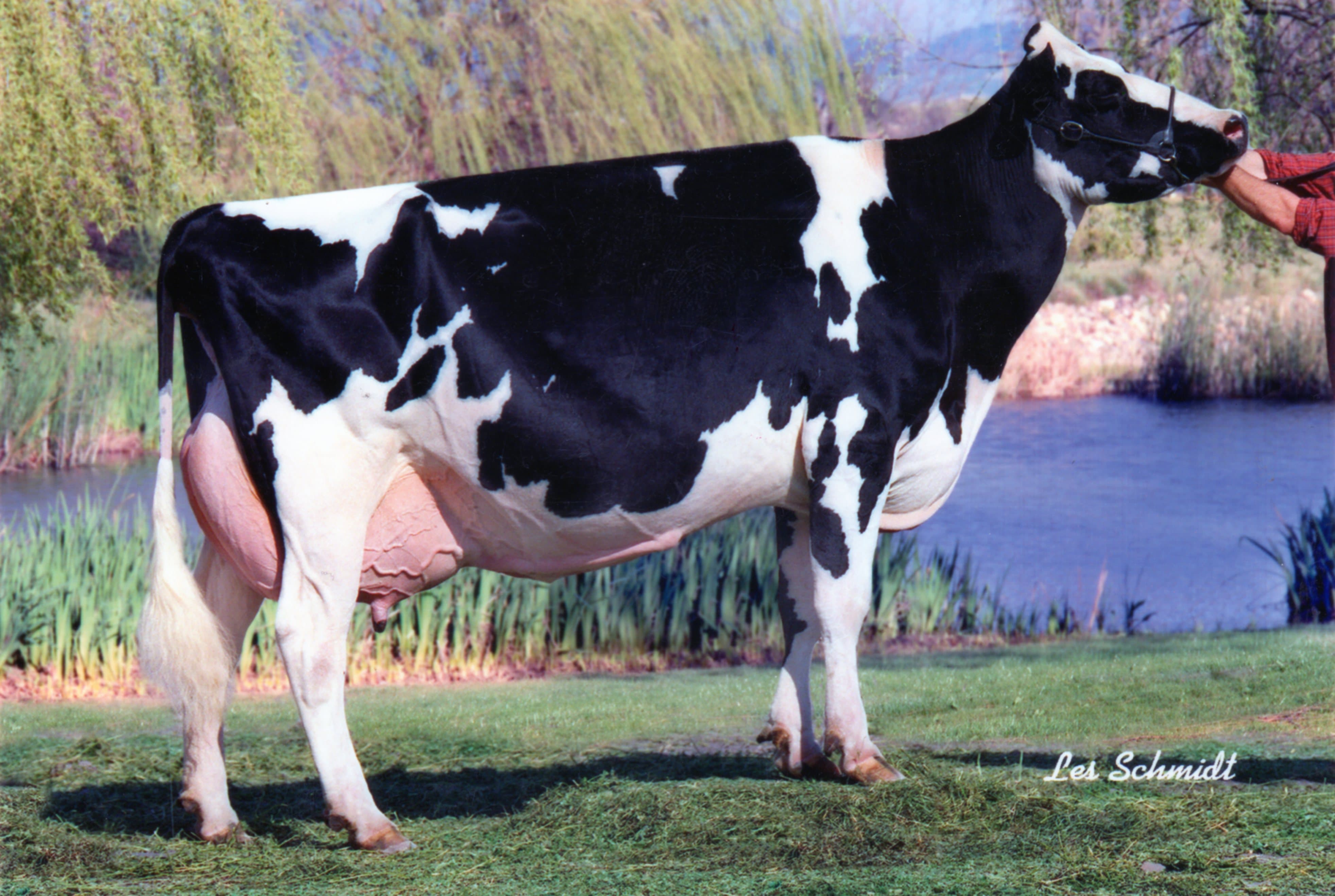 LANDMARK BARTON GLAMMIS EX94
