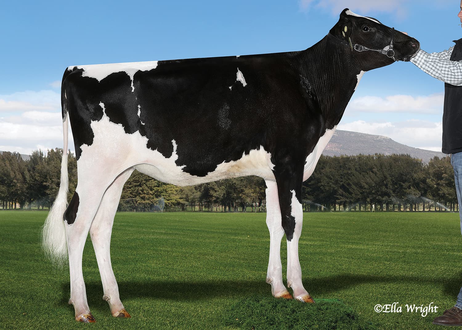 SM LA COTERA EMILIO REGINA