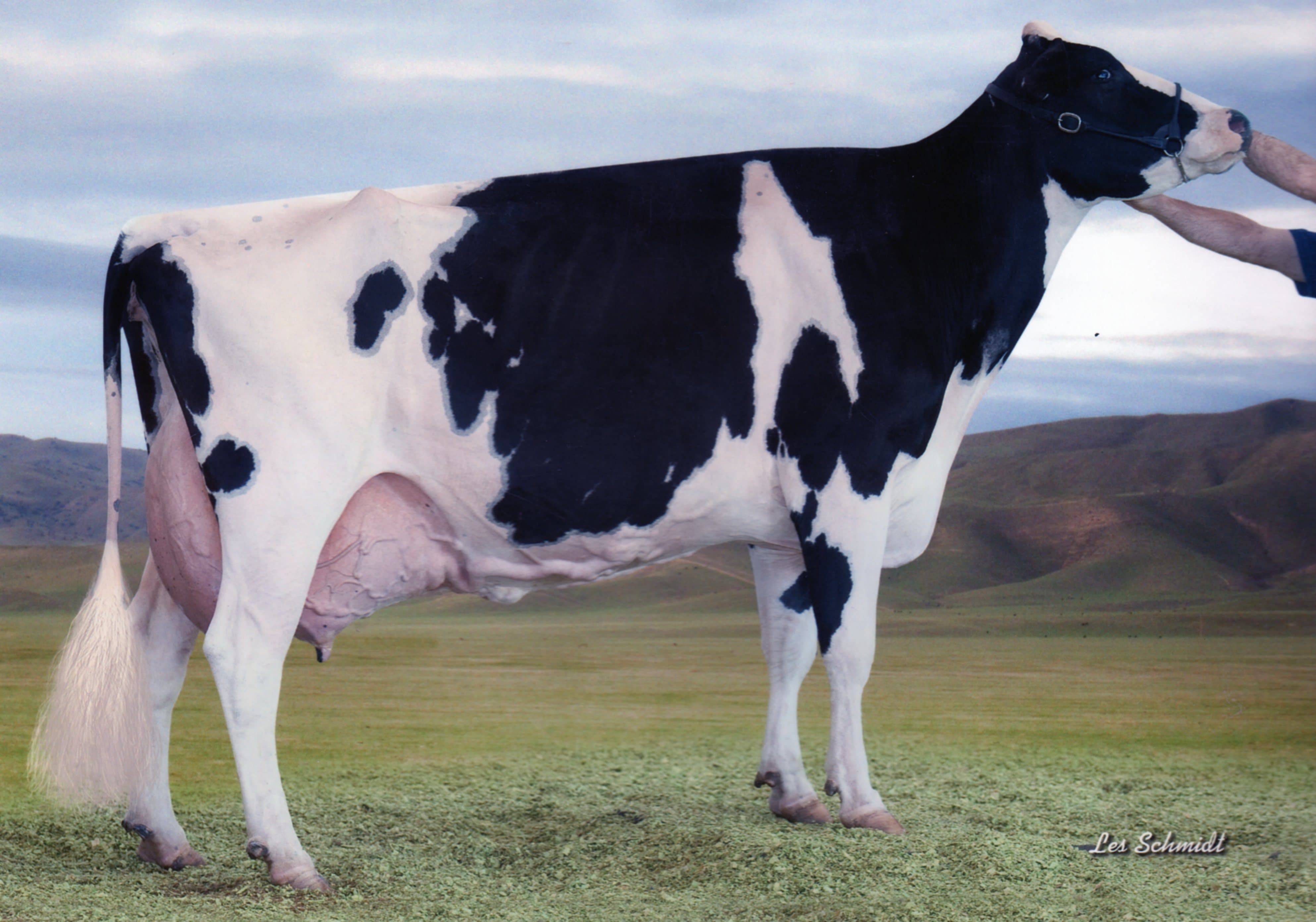 JEMA ERIC FARTH EX95