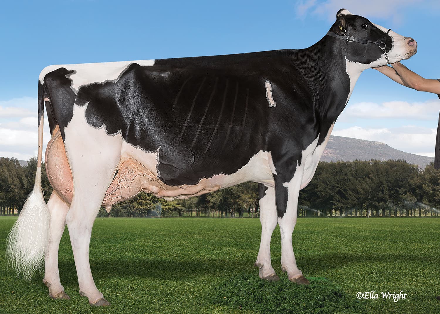 SM LA COTERA ATWOOD KOR EX94