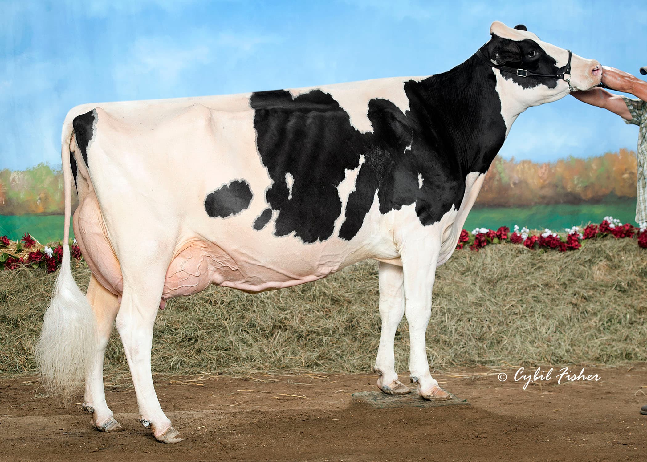 BENNER DUNDEE KOREY EX95