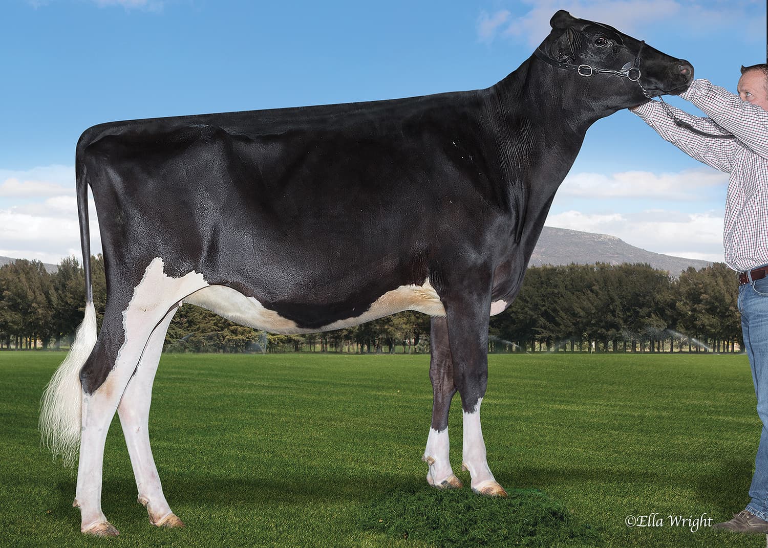 SM LA COTERA AIRLIFT AMAYA