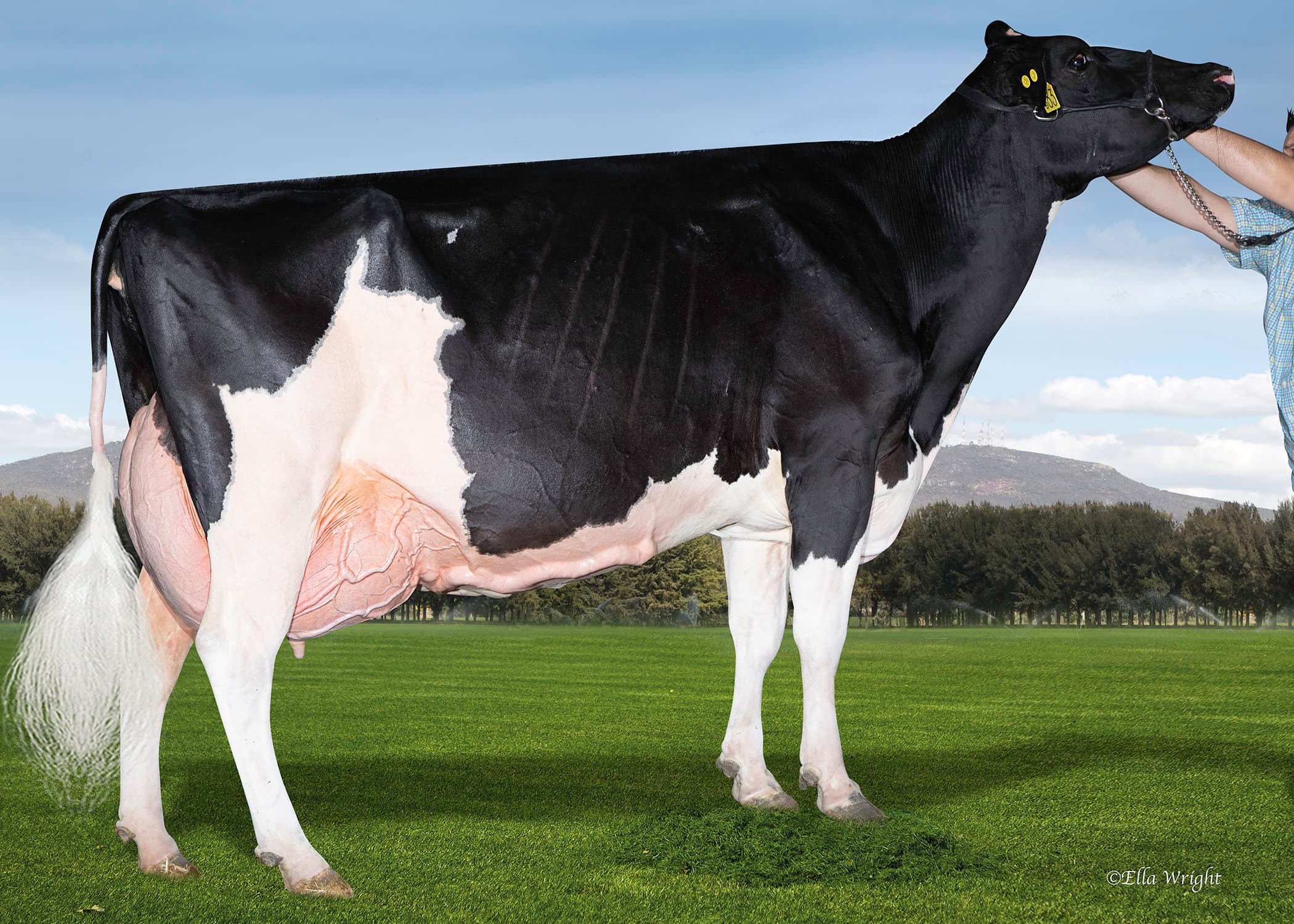 KILLCROFT SID LARABELLE EX93