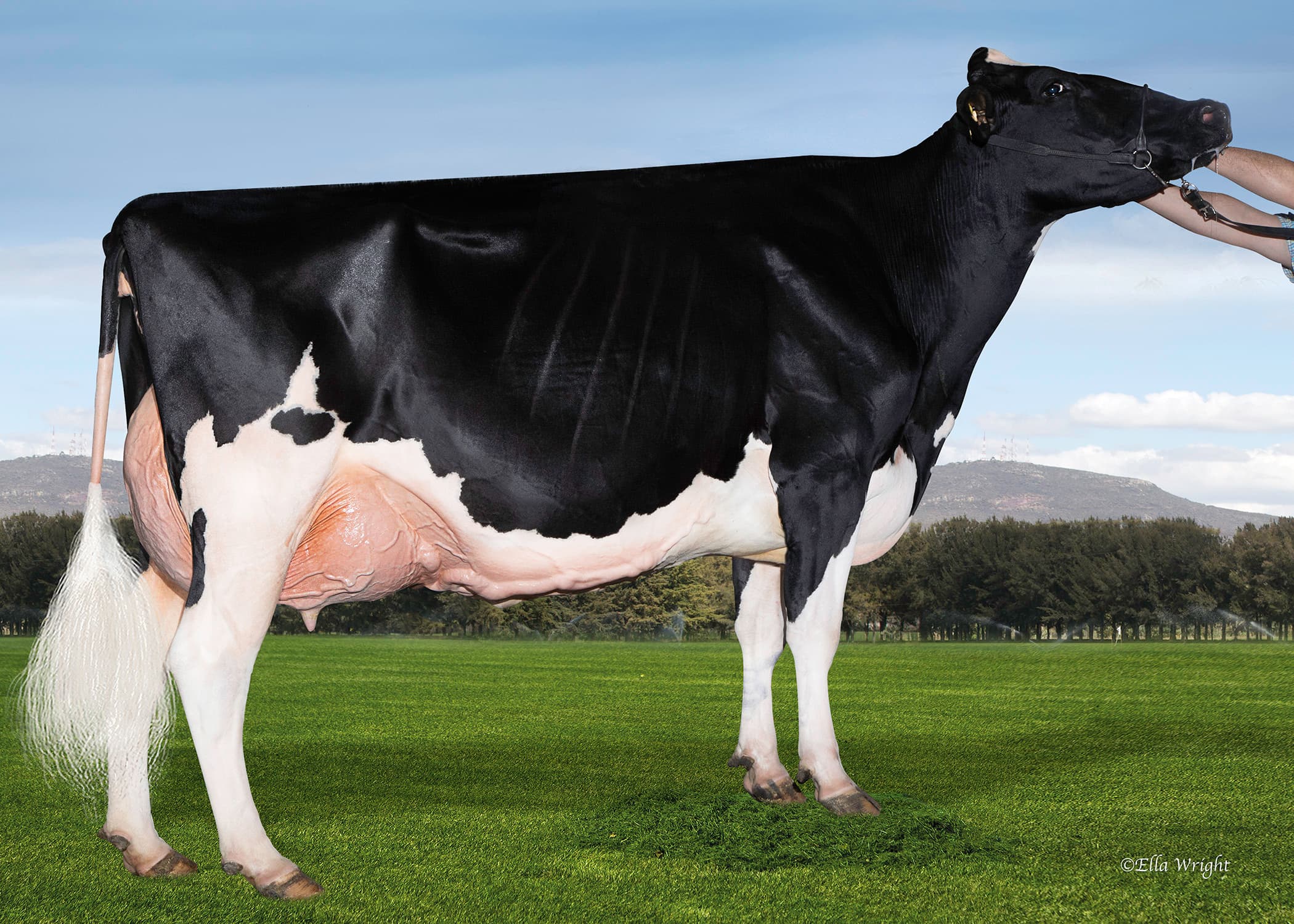 DAN HOPE LAUTHORITY APRIL EX94