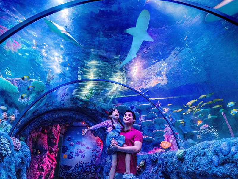 KL_Aquarium