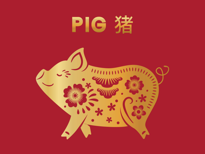 12-Pig