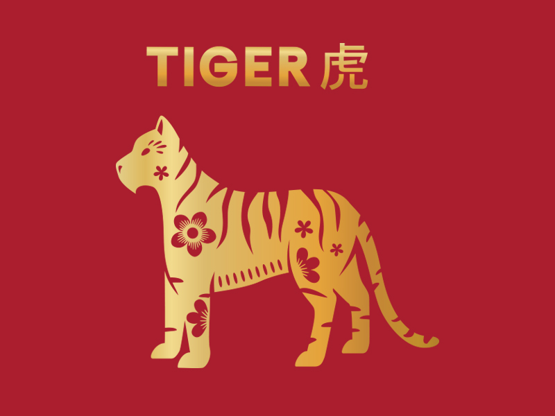 3-Tiger