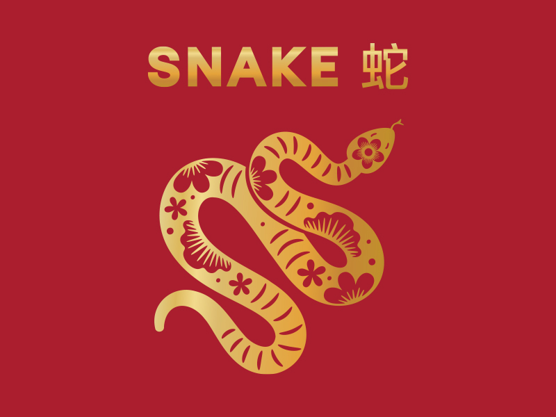 6-Snake