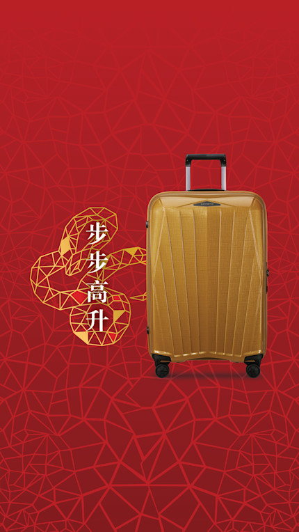 Samsonite Lunar New Year Offer