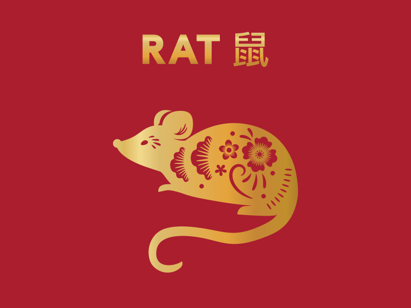 1-Rat