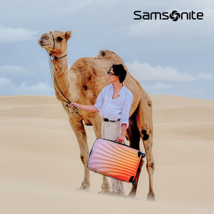 Samsonite C-Lite