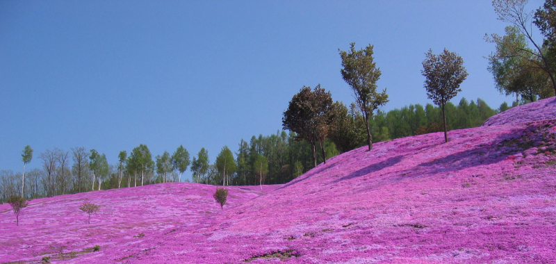 Hokkaido’s