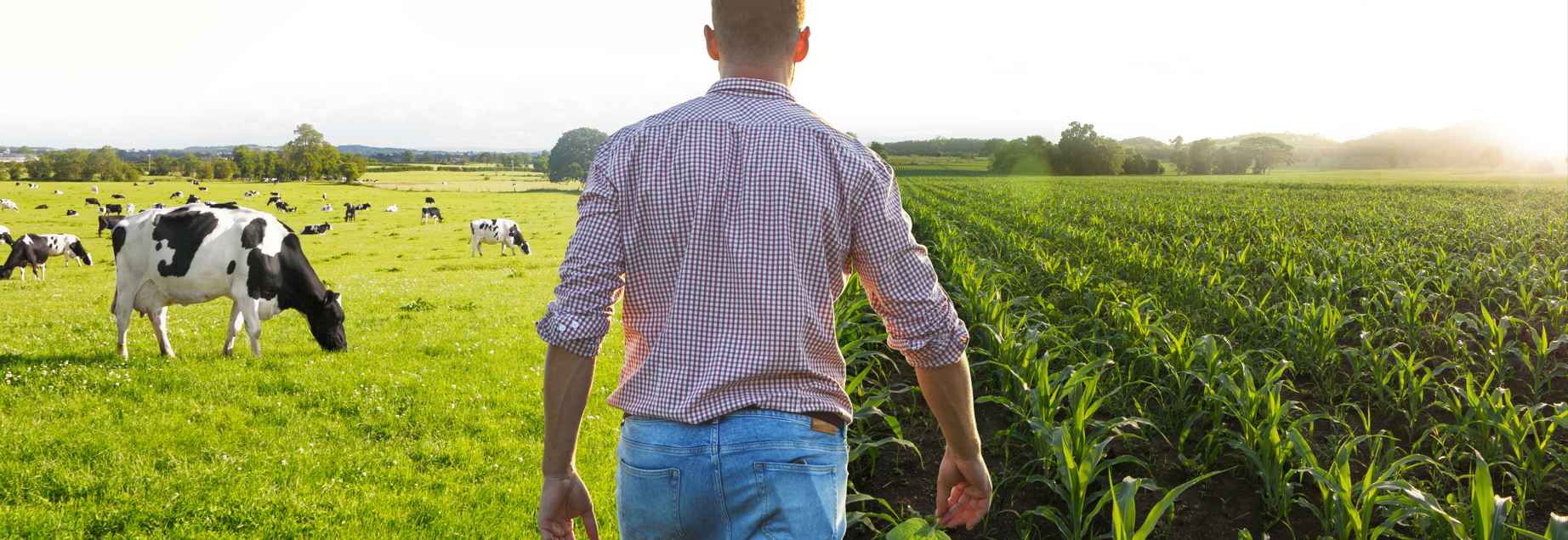 agrivirtual durabilité