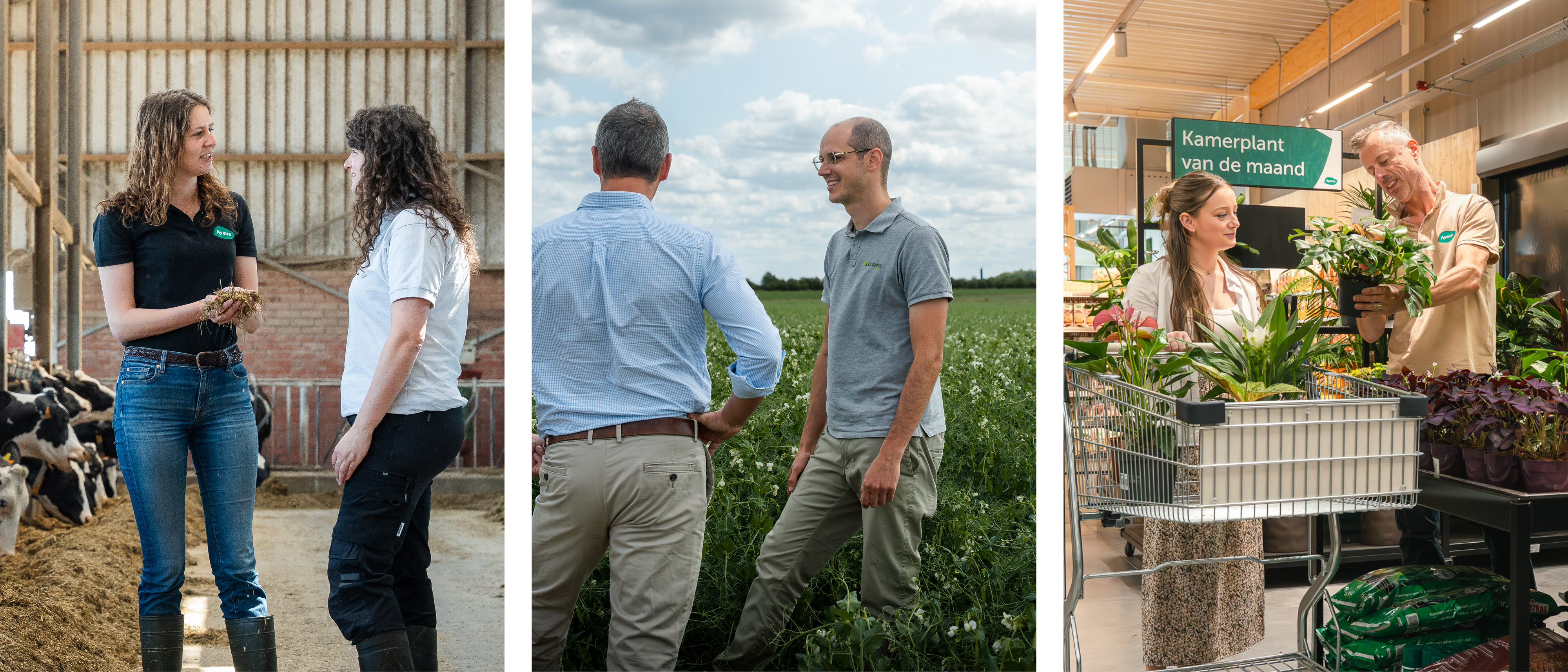 Plus de 120 ans d'expertise dans 3 domaines 