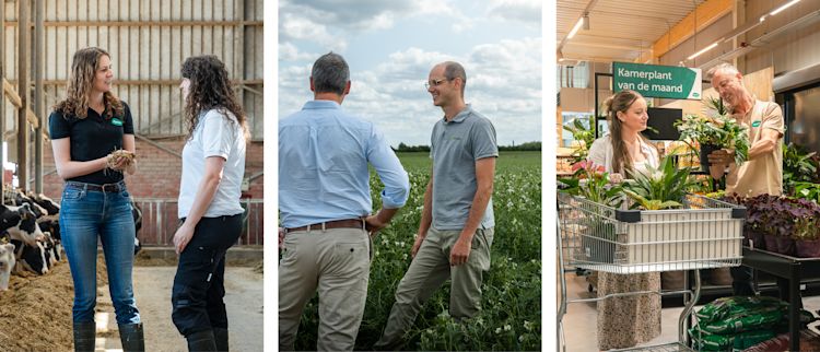 More than 120 years of expertise across 3 domains