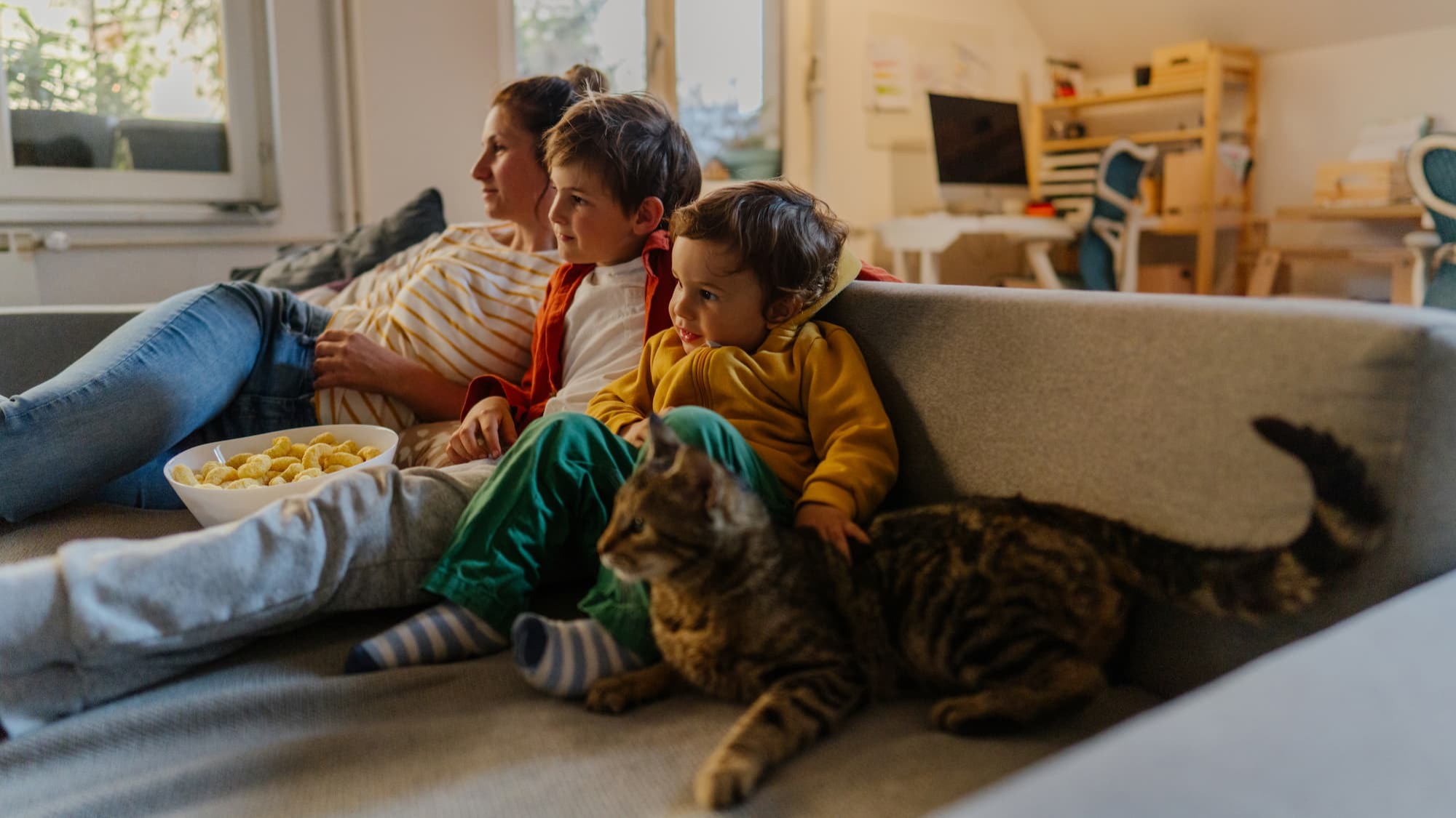 Propriétaire qui câline son chat – Aveve