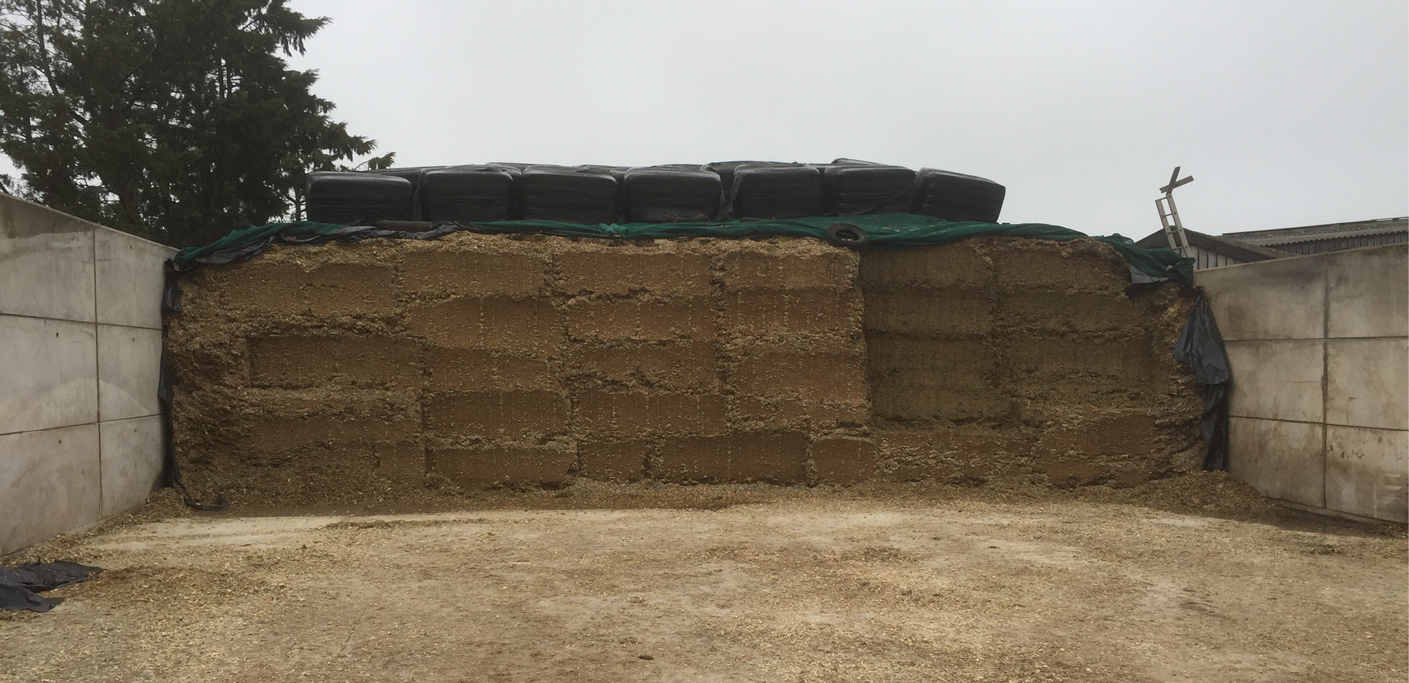 Mengkuilen 968x455px