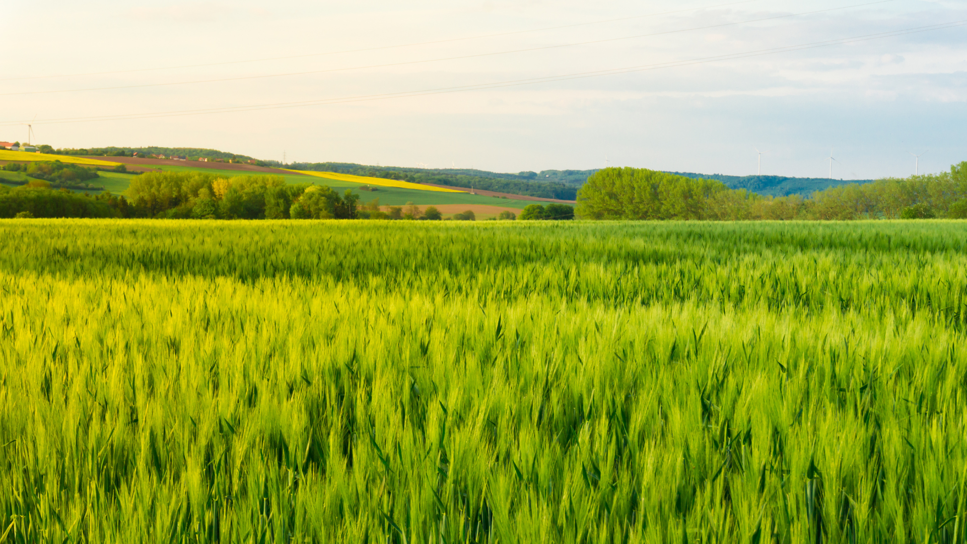 Actyvium Green Mn 1920x1080px