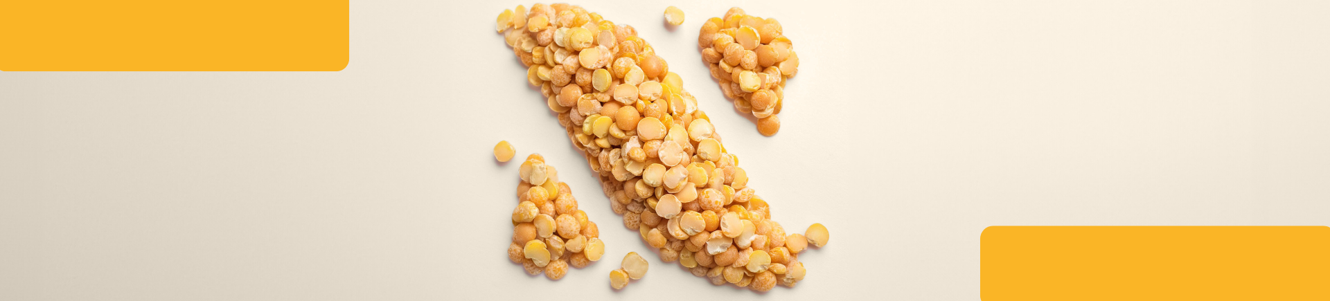 5 Reasons Why Every European Bakery Producer Should Integrate Nuverta Pea Protein and Pea Starch 