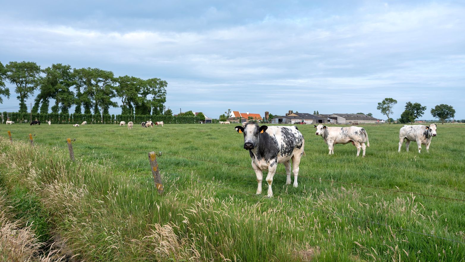 VV_Hittestress_Impact