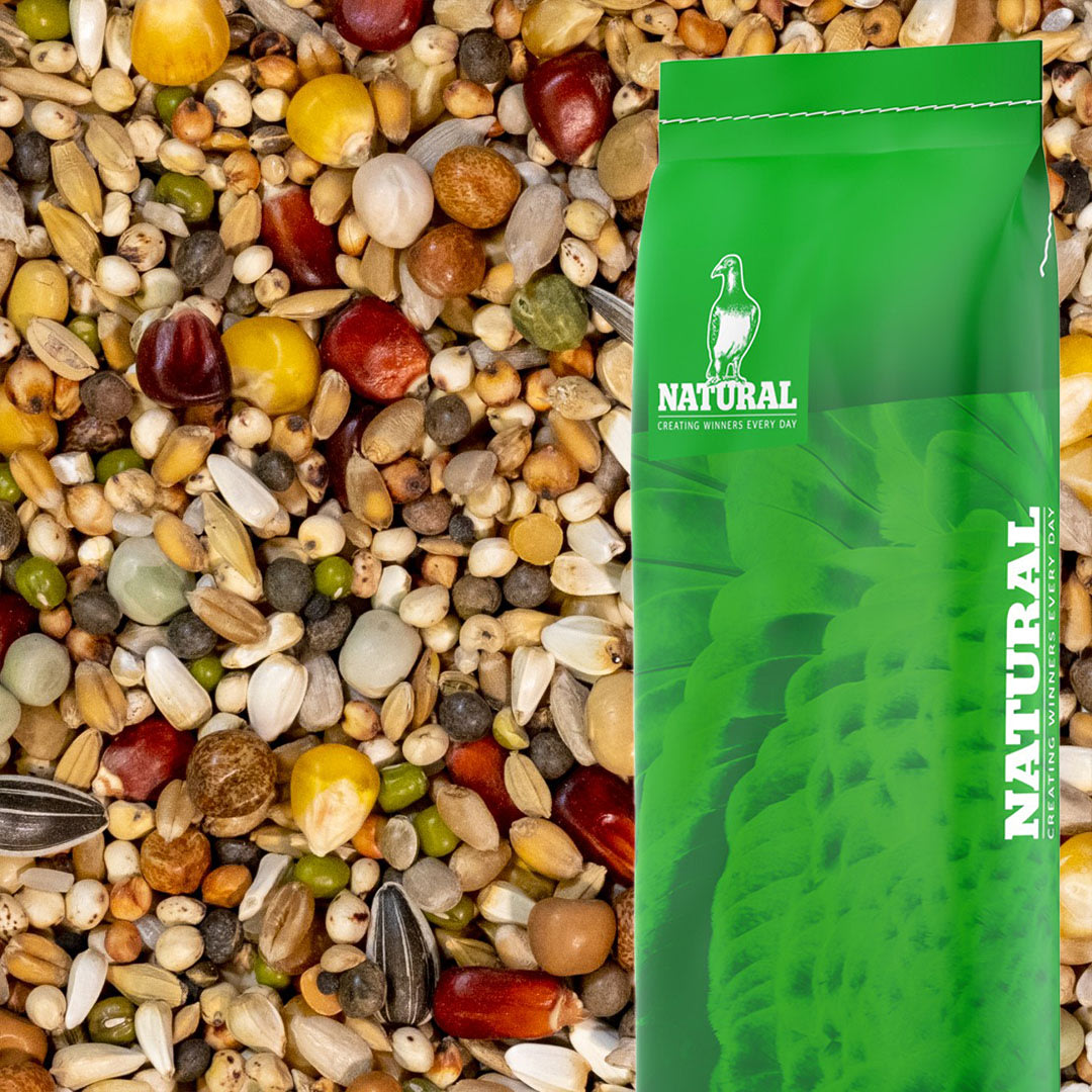 Image Natural Maxi Steenbergen Extra Boost