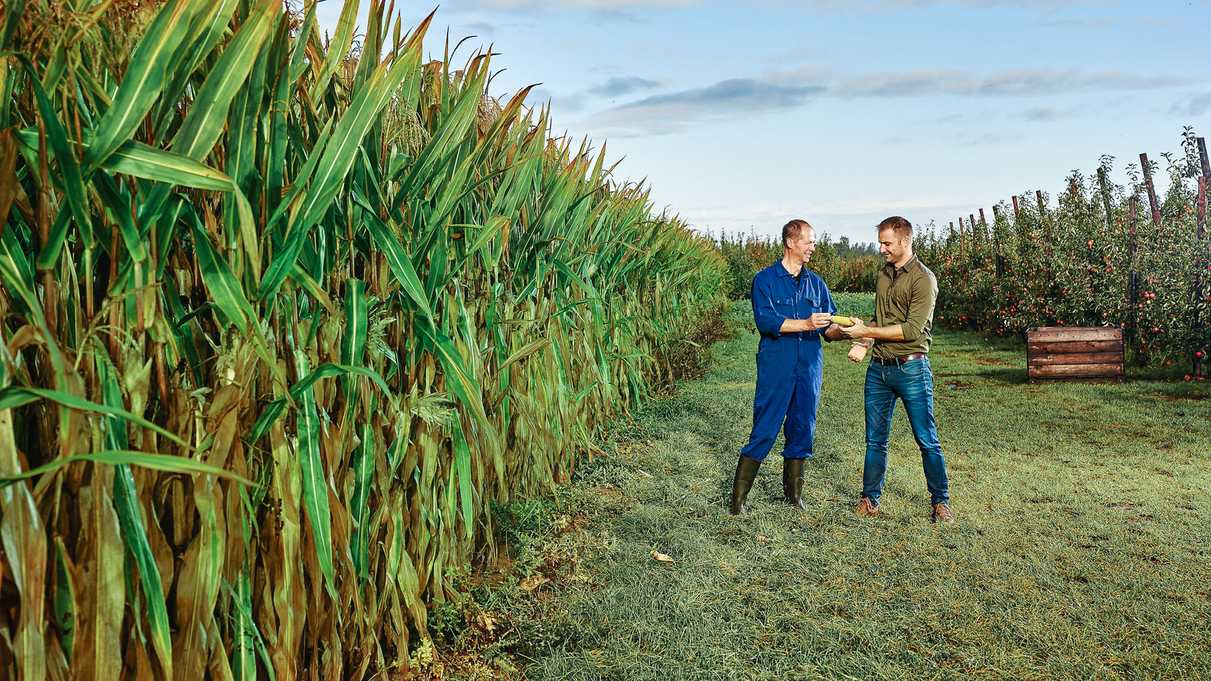 L&T homepage banner 1280x720px