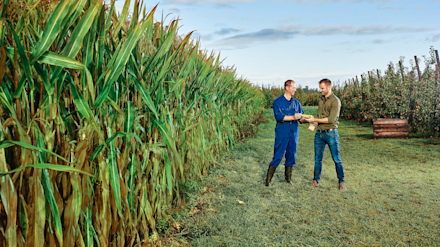 maisveld appelboomgaard boer geeft maiskolf aan klant